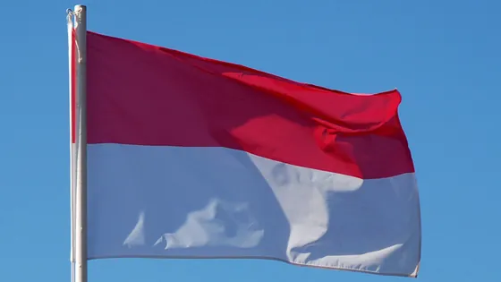 100 Most Common Words in Indonesian