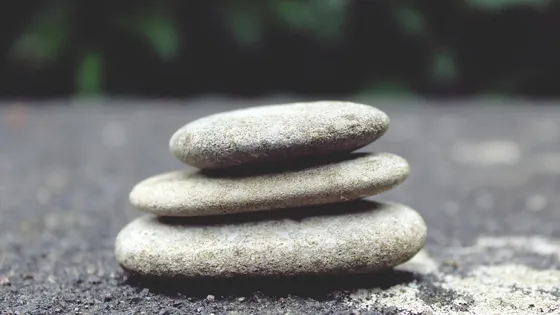 У нас объективный рейтинг знаменитых рехабов